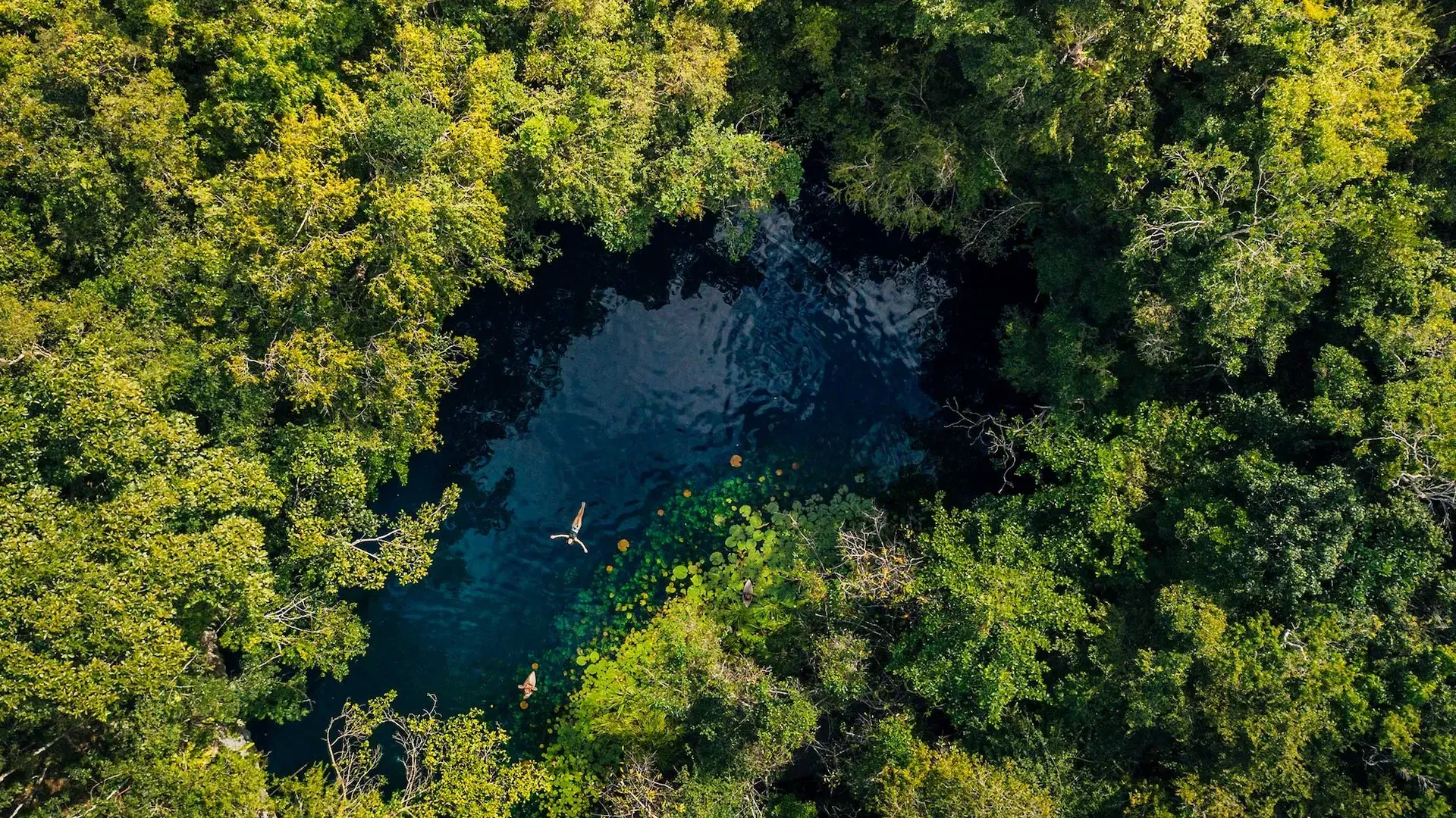 Vista aérea de una persona nadando en un cenote abierto rodeado por la selva